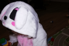 1_IMG_20220304_103235