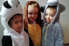 1_IMG_20220304_113329