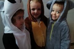 1_IMG_20220304_113331