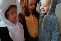 1_IMG_20220304_113337