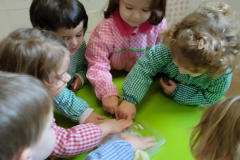 IMG_20230118_111103